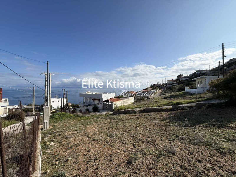Αγροτεμάχια 316 τ.μ. πρός πώληση, Αττική - Υπόλοιπο, Κερατέα