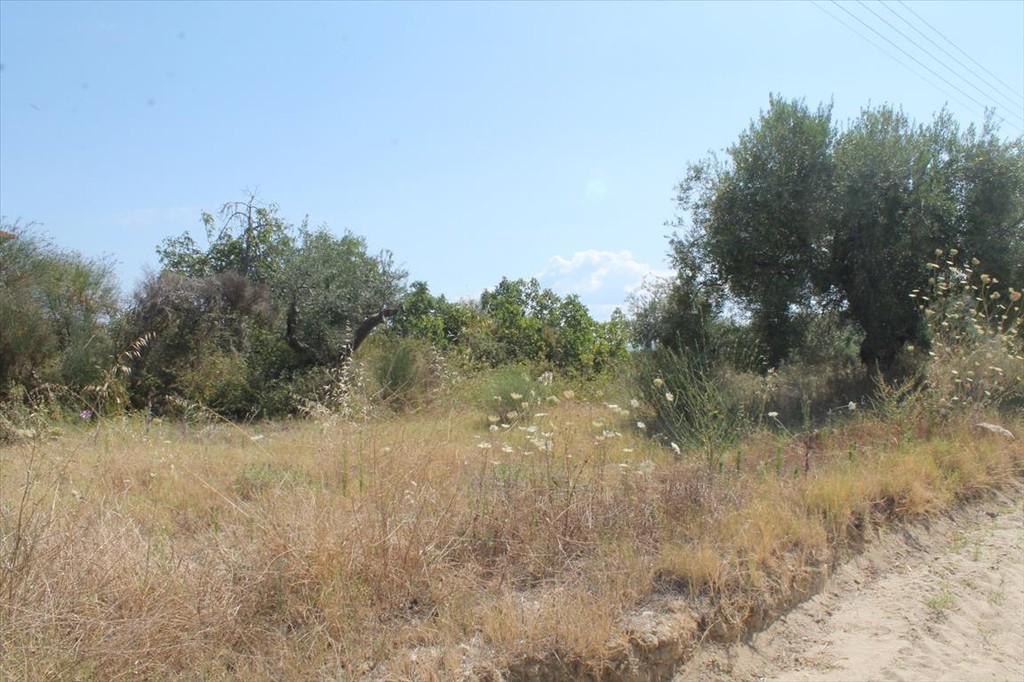 Οικόπεδο 200 τ.μ. προς πώληση, Πολύχρονο