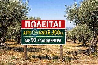 Αγροτεμάχια 6.300 τ.μ. για πώληση