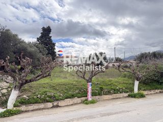 Οικόπεδο 256 τ.μ. προς πώληση, Βαφές-thumb-9