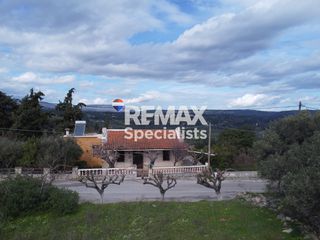 Οικόπεδο 256 τ.μ. προς πώληση, Βαφές-thumb-2