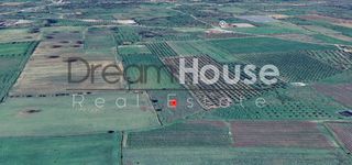 Αγροτεμάχια 4.840 τ.μ. για πώληση, Αχαΐα, Μόβρη-thumb-4
