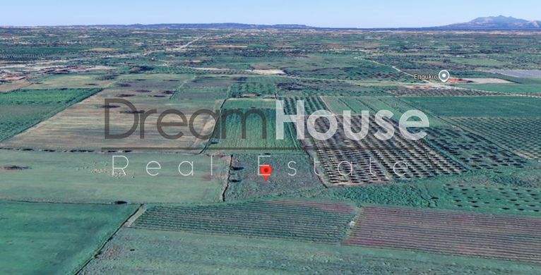 Αγροτεμάχια 4.840 τ.μ. για πώληση, Αχαΐα, Μόβρη