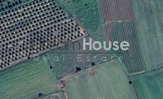 Αγροτεμάχια 4.840 τ.μ. για πώληση, Αχαΐα, Μόβρη-thumb-2