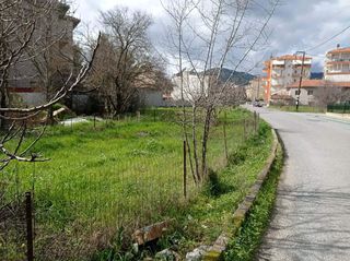 Οικόπεδο 980 τ.μ. για πώληση, Αρκαδία, Τρίπολη-thumb-3