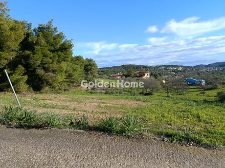 Οικόπεδο 2.800 τ.μ. για πώληση