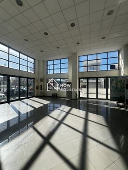 Business bulding 462 sqm for rent