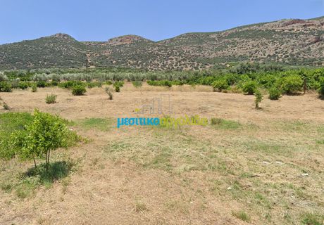 Οικόπεδο 2.630,35 τ.μ. προς πώληση