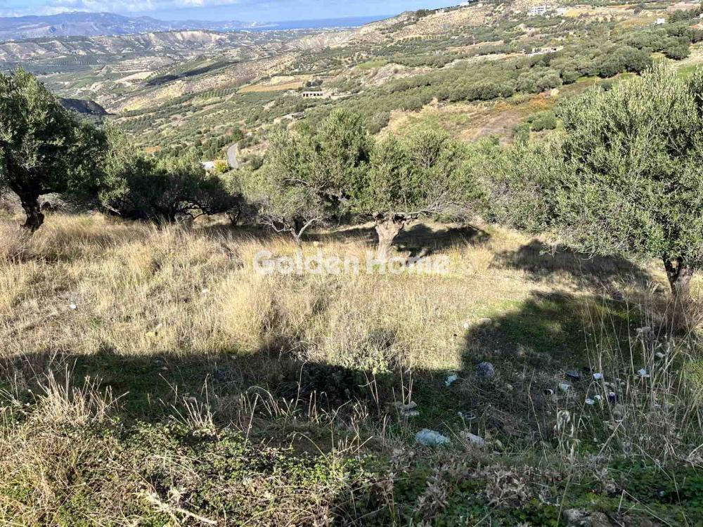 Land plot 3.000 sqm for sale, Magnesia, Artemida