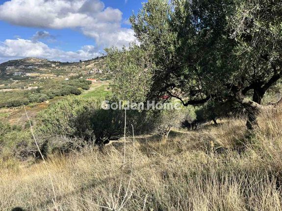 Οικόπεδο 3.000 τ.μ. για πώληση, Μαγνησία, Αρτέμιδα