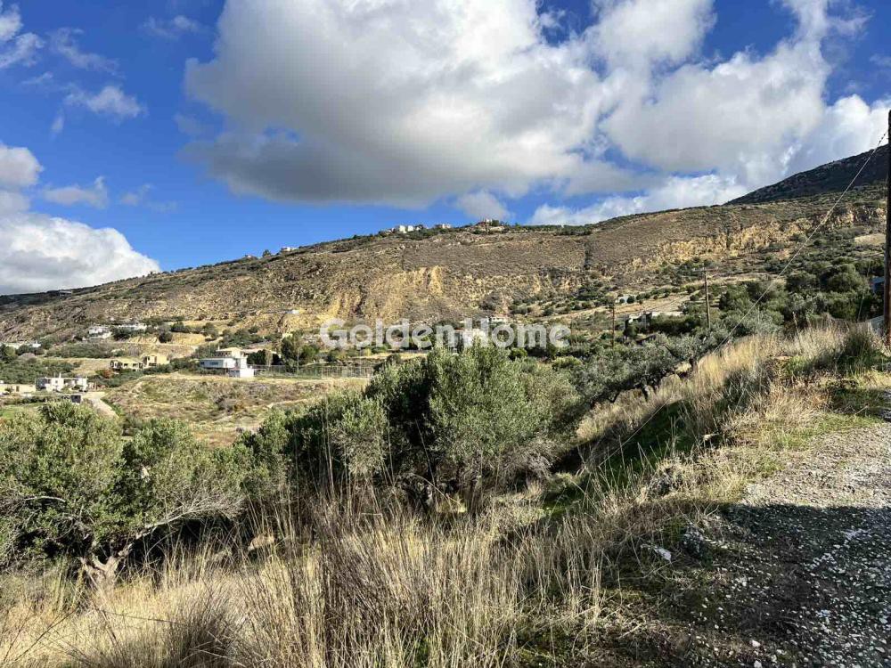 Land plot 3.000 sqm for sale, Magnesia, Artemida