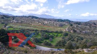Οικόπεδο 10.238 τ.μ. για πώληση, Ν. Ρεθύμνου, Ρέθυμνο-thumb-4