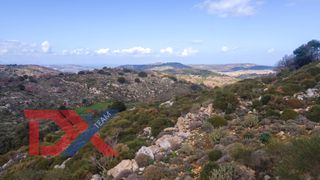 Οικόπεδο 10.238 τ.μ. για πώληση, Ν. Ρεθύμνου, Ρέθυμνο-thumb-5