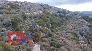 Οικόπεδο 10.238 τ.μ. για πώληση, Ν. Ρεθύμνου, Ρέθυμνο-thumb-2