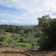 Οικόπεδο 18.000 τ.μ. για πώληση, Αργολίδα, Κρανίδι-thumb-3
