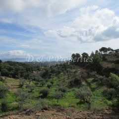 Οικόπεδο 18.000 τ.μ. για πώληση, Αργολίδα, Κρανίδι-thumb-2