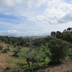 Οικόπεδο 18.000 τ.μ. για πώληση, Αργολίδα, Κρανίδι-thumb-1