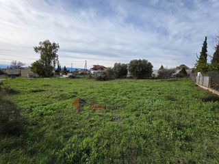 Οικόπεδο 870 τ.μ. για πώληση, Φθιώτιδας, Εχιναίων-thumb-16