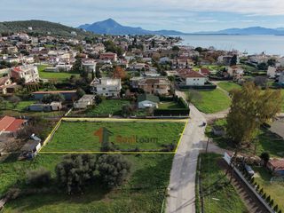 Οικόπεδο 870 τ.μ. για πώληση, Φθιώτιδας, Εχιναίων-thumb-3