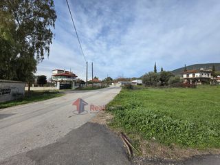Οικόπεδο 870 τ.μ. για πώληση, Φθιώτιδας, Εχιναίων-thumb-13