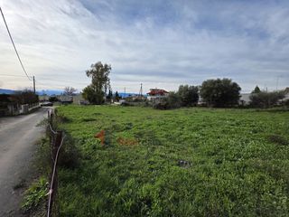 Οικόπεδο 870 τ.μ. για πώληση, Φθιώτιδας, Εχιναίων-thumb-17