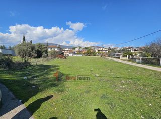 Οικόπεδο 870 τ.μ. για πώληση, Φθιώτιδας, Εχιναίων-thumb-11