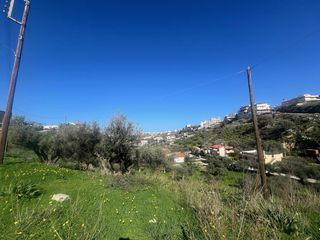 Οικόπεδο 6.250 τ.μ. για πώληση