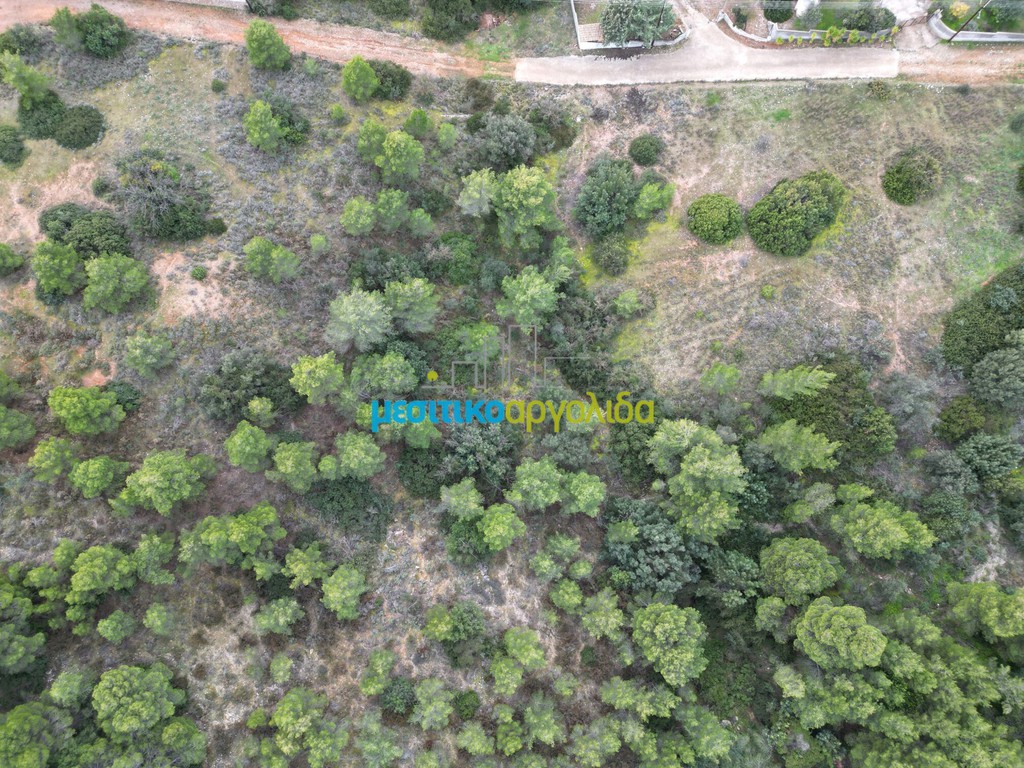 Αγροτεμάχια 4.570 τ.μ. πρός πώληση, Αργολίδα, Κρανίδι