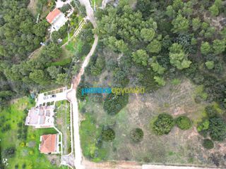 Αγροτεμάχια 4.570 τ.μ. για πώληση
