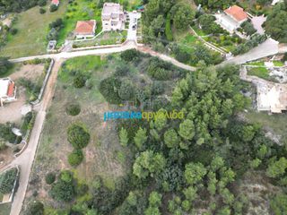 Αγροτεμάχια 4.570 τ.μ. για πώληση, Αργολίδα, Κρανίδι-thumb-2