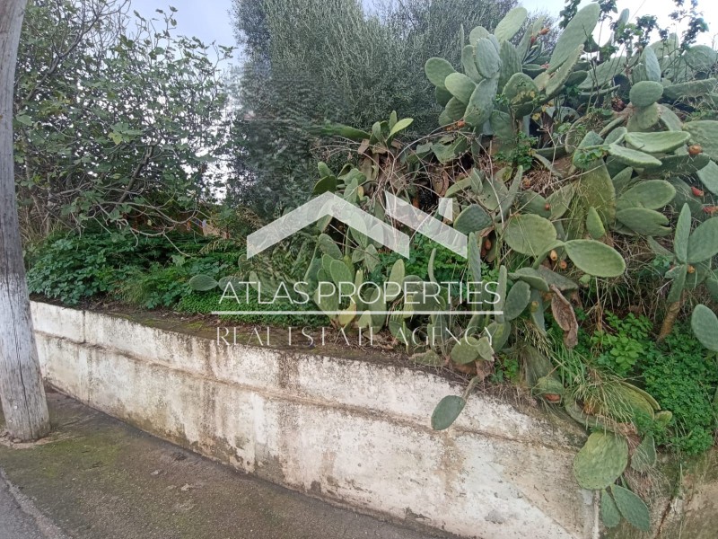 Οικόπεδο 186 τ.μ. προς πώληση, Περιβόλια Θερίσου