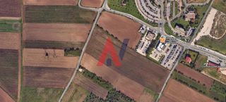 Αγροτεμάχια 13.000 τ.μ. για πώληση