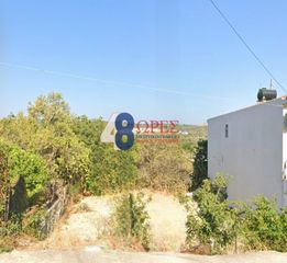 Αγροτεμάχια 269,97 τ.μ. για πώληση