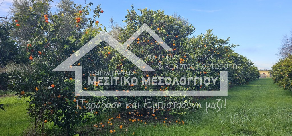 Αγροτεμάχια 18.596 τ.μ. προς πώληση, Αιτωλοακαρνανία, Αιτωλικό