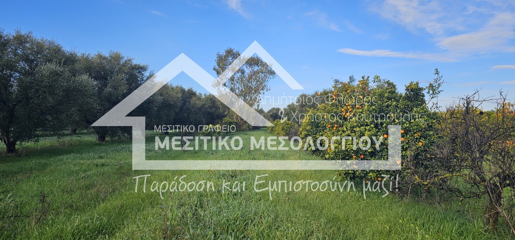 Αγροτεμάχια 18.596 τ.μ. προς πώληση, Αιτωλοακαρνανία, Αιτωλικό