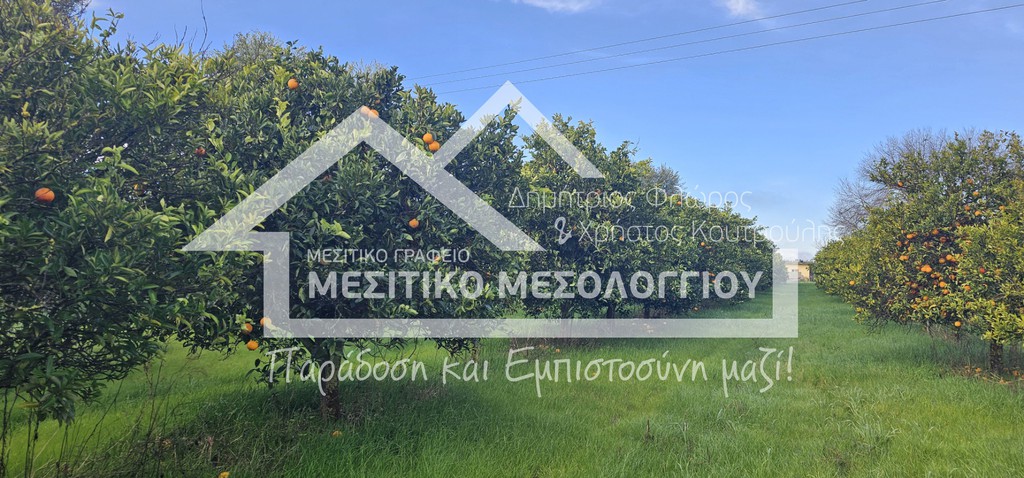 Αγροτεμάχια 18.596 τ.μ. προς πώληση, Αιτωλοακαρνανία, Αιτωλικό