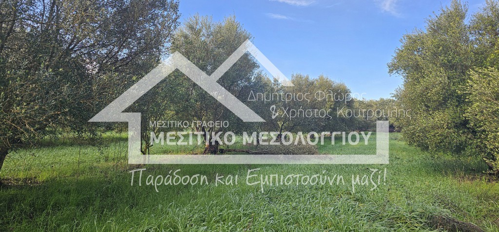 Αγροτεμάχια 18.596 τ.μ. προς πώληση, Αιτωλοακαρνανία, Αιτωλικό