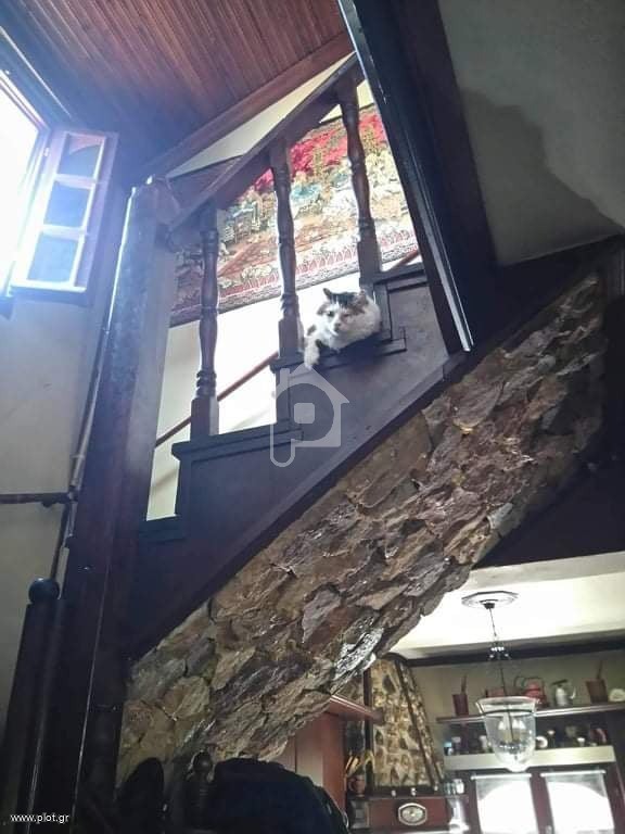 Μεζονέτα 240 τ.μ. πρός πώληση, Ν. Δράμας, Δράμα