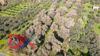 Οικόπεδο 4.714 τ.μ. για πώληση, Ν. Ρεθύμνου, Αρκάδι-thumb-2