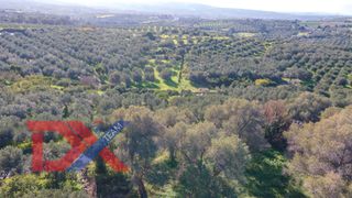 Οικόπεδο 4.714 τ.μ. για πώληση, Ν. Ρεθύμνου, Αρκάδι-thumb-6