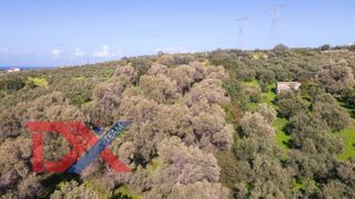 Οικόπεδο 4.714 τ.μ. για πώληση, Ν. Ρεθύμνου, Αρκάδι-thumb-1