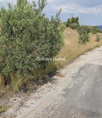 Οικόπεδο 4.070 τ.μ. προς πώληση, Βερβερούδα-thumb-3