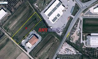 Αγροτεμάχια 4.025 τ.μ. για πώληση