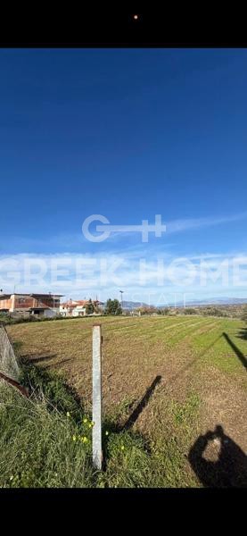 Οικόπεδο 2.351 τ.μ. προς πώληση, Νέος Πύργος Ωρεών