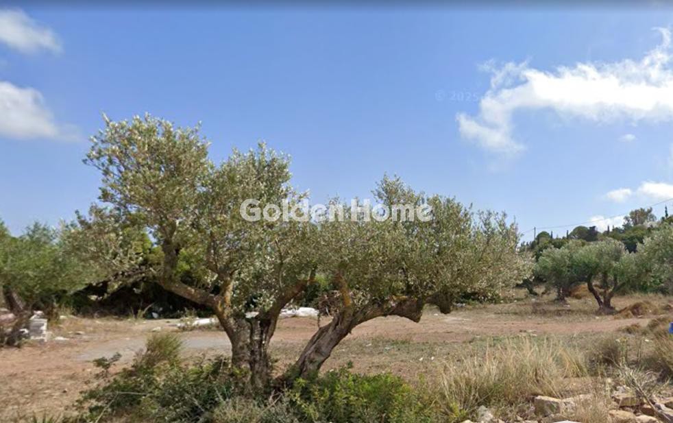 Οικόπεδο 1.500 τ.μ. προς πώληση, Στραπόδι