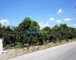 Οικόπεδο 1.000 τ.μ. για πώληση, Αργολίδα, Άργος-thumb-10
