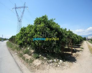 Οικόπεδο 1.000 τ.μ. για πώληση, Αργολίδα, Άργος-thumb-5