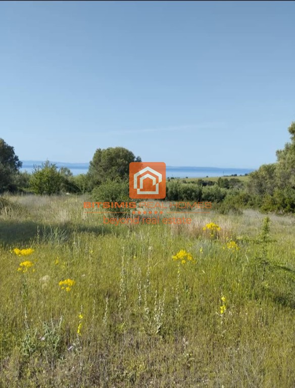 Αγροτεμάχια 6,45 τ.μ. προς πώληση, Ψακούδια