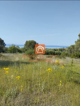 Αγροτεμάχια 6,45 τ.μ. προς πώληση