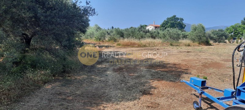 Οικόπεδο 1.150 τ.μ. προς πώληση, Κάβος Λιχάδας